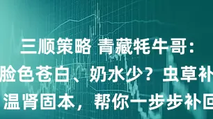 三顺策略 青藏牦牛哥：产后乏力、脸色苍白、奶水少？虫草补气养血、温肾固本，帮你一步步补回来！_气血_身体_温而